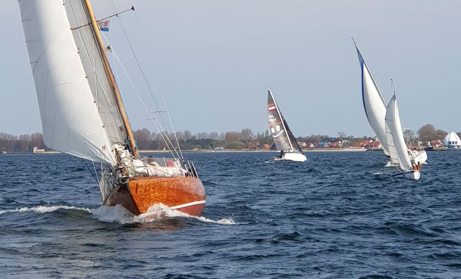 60 żeglarzy na 12 jednostkach zmagało się na Zatoce Gdańskiej