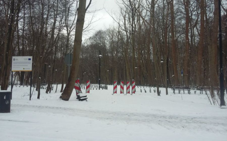 Budowa parkingu w sopockim parku niezgodna z prawem